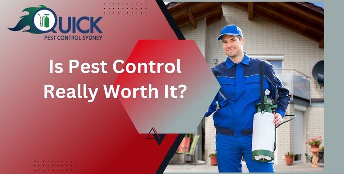 Is Pest Control Really Worth It?
